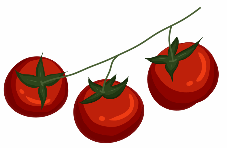 cropped-logov2.png